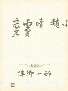 宋雨晴 赵小刚免费