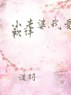 小老婆.我爱你软件