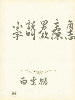 小说男主角的名字叫做陈志远