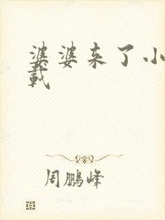 婆婆来了小说下载