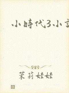 小时代3小说