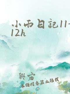 小雨日记11-12h
