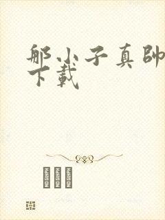 那小子真帅小说下载