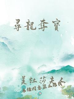 寻龙夺宝