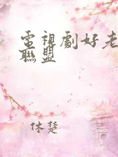 电视剧好老婆大联盟