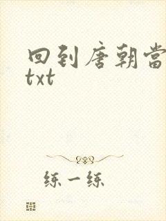 回到唐朝当皇帝txt