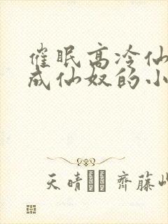 催眠高冷仙奴变成仙奴的小说