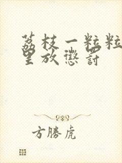 荔枝一粒粒的往里放惩罚