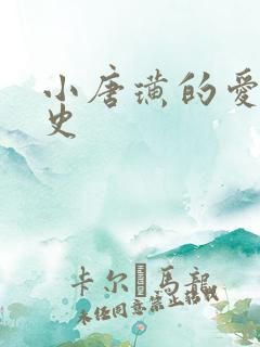 小唐璜的爱情历史