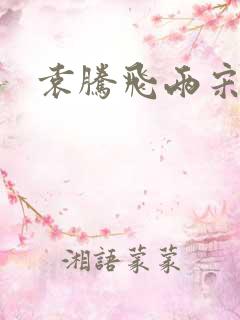 袁腾飞两宋风云