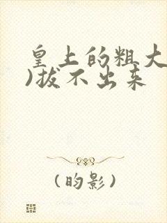 皇上的粗大(h)拔不出来