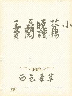 王磊晓芬小说免费阅读杨