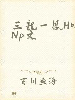 三龙一凤H啪肉Np文