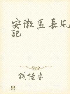 安徽区长风流日记