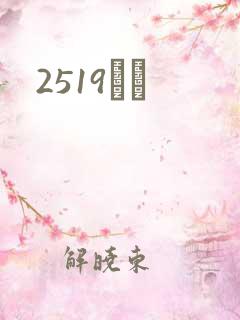 2519С˵