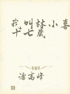 我叫林小喜今年十七岁