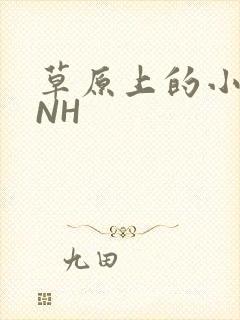草原上的小公主NH