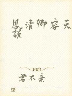 凤清卿容天凌小说