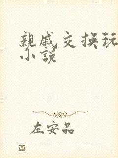 亲戚交换玩美妇小说