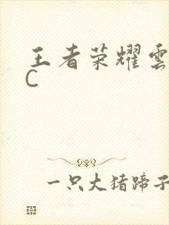 王者荣耀云缨被C