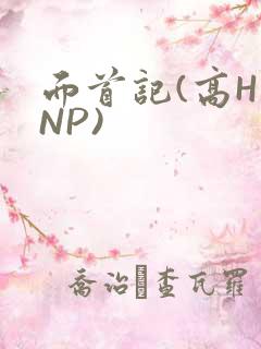 面首记(高H NP)