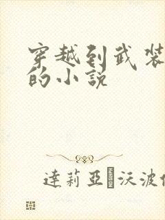 穿越到武装少女的小说