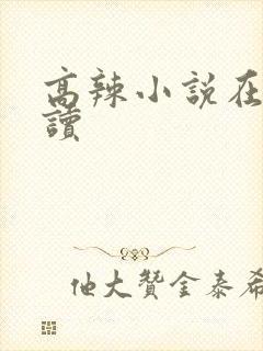 高辣小说在线阅读