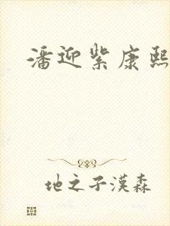 潘迎紫康熙来了