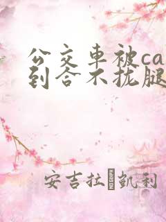 公交车被cao到合不拢腿app