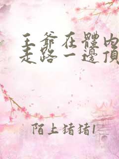 王爷在体内一边走路一边顶