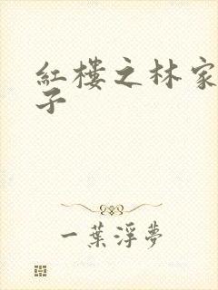 红楼之林家庶长子