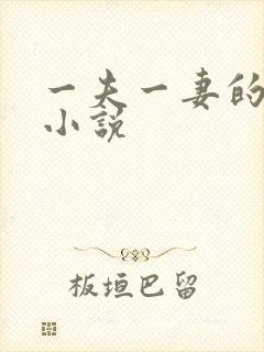 一夫一妻的玄幻小说