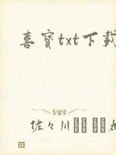 喜宝txt下载