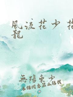 风流花少 花睿龙