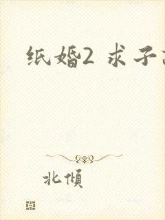 纸婚2 求子记