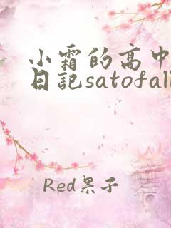 小霜的高中成长日记satofall