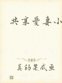 共享爱妻小说