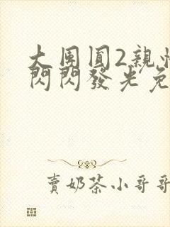 大团圆2亲情会闪闪发光免费