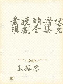 黄晓明潜伏者电视剧全集免费观看