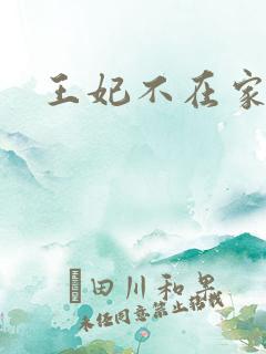 王妃不在家