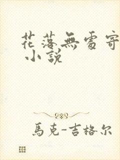 花落无处寄相思 小说