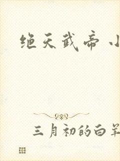 绝天武帝 小说