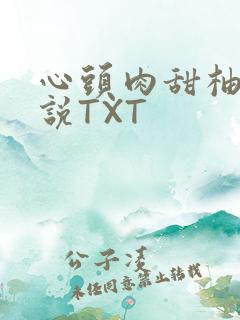 心头肉甜柚子小说TXT
