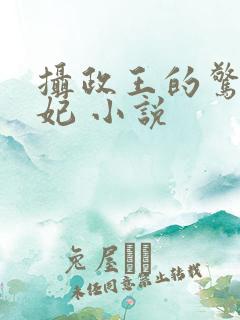 摄政王的惊世嫡妃 小说