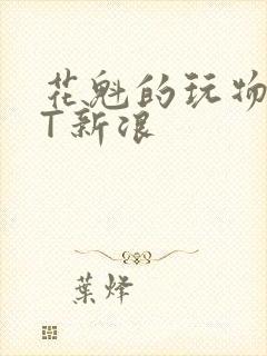 花魁的玩物TXT新浪