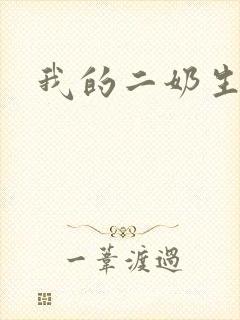 我的二奶生涯