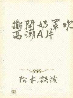 撕开奶罩吮奶头高潮A片