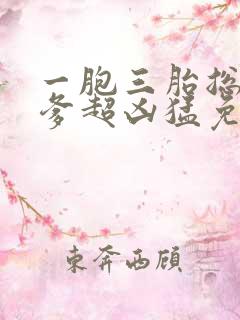 一胞三胎总裁爹爹超凶猛免费阅读