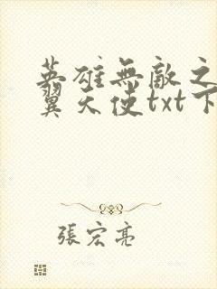 英雄无敌之十二翼天使txt下载