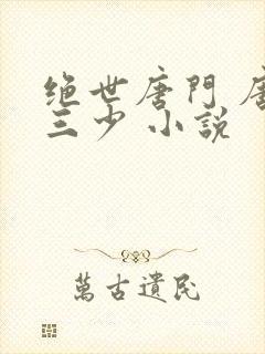 绝世唐门 唐家三少 小说